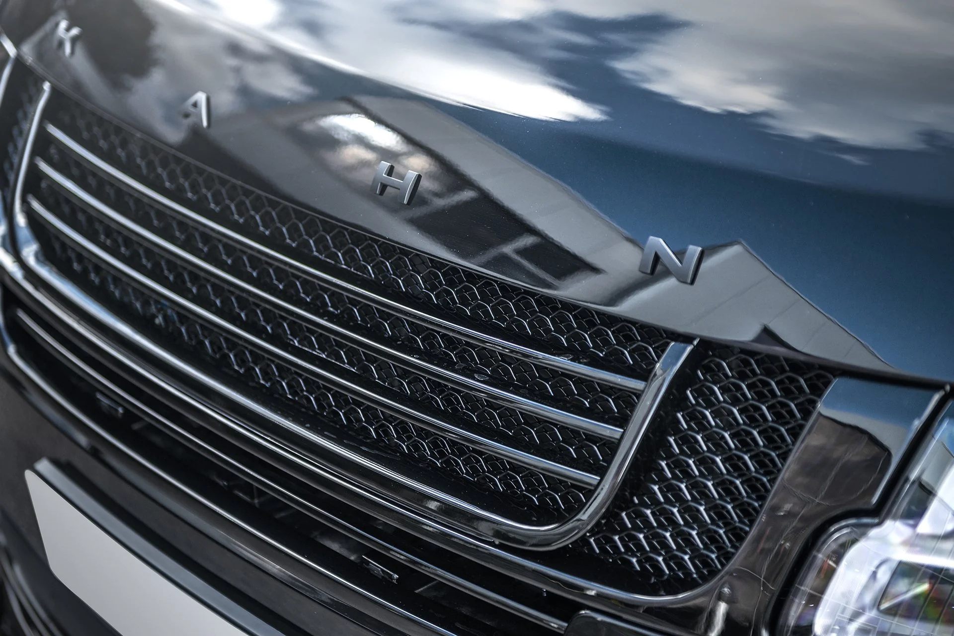 Range Rover (2018-2022) Exposed Carbon Front Grille - Image 5